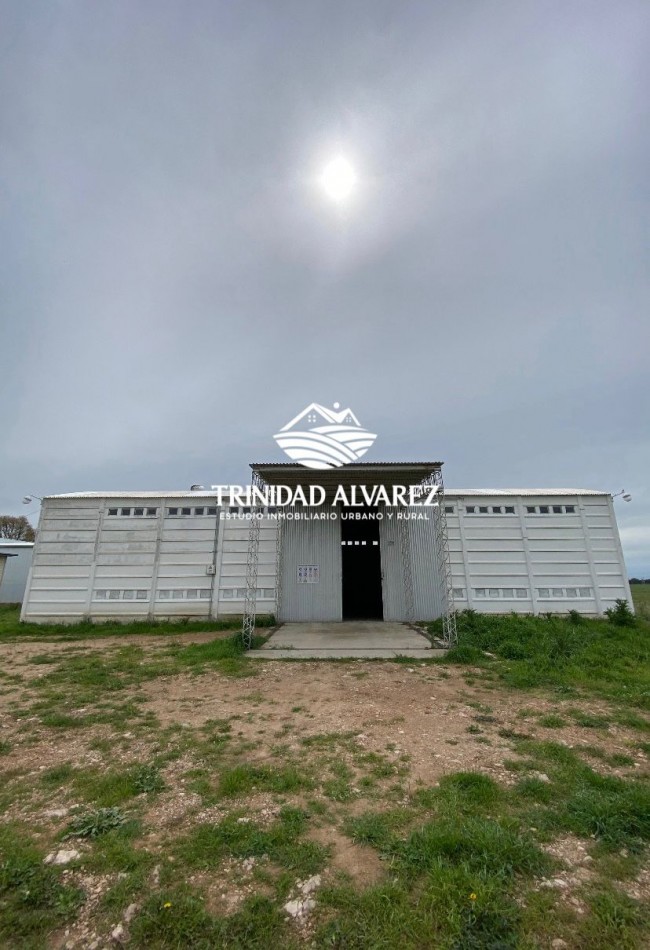 GALPON + OFICINAS EN VENTA  
