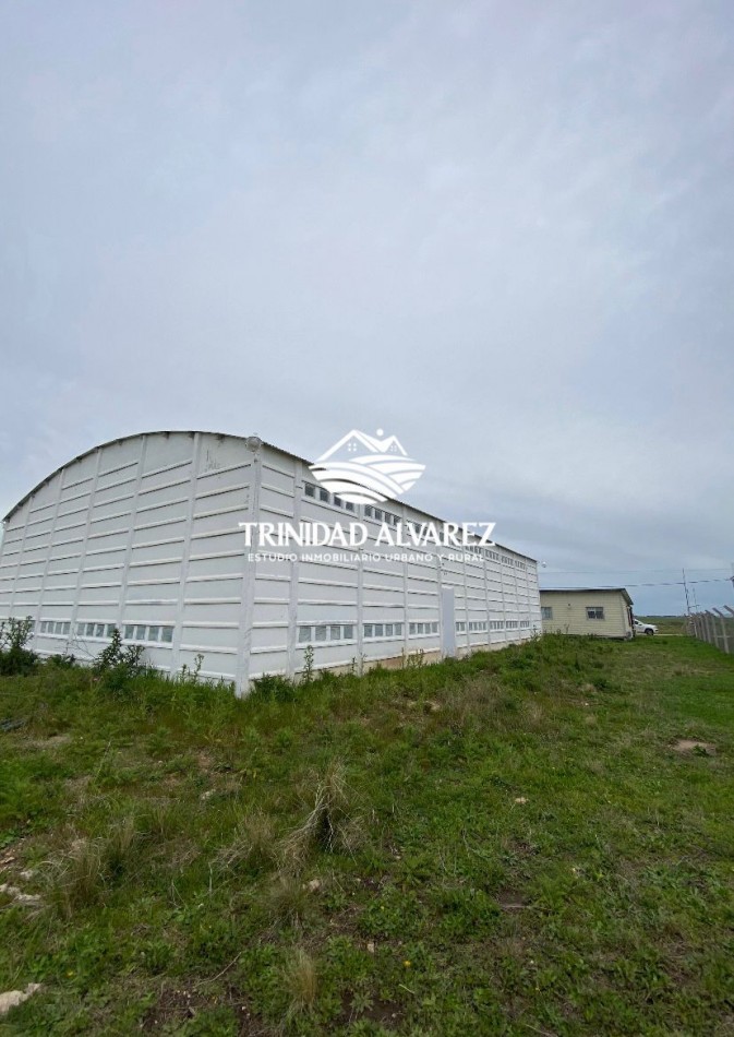 GALPON + OFICINAS EN VENTA  