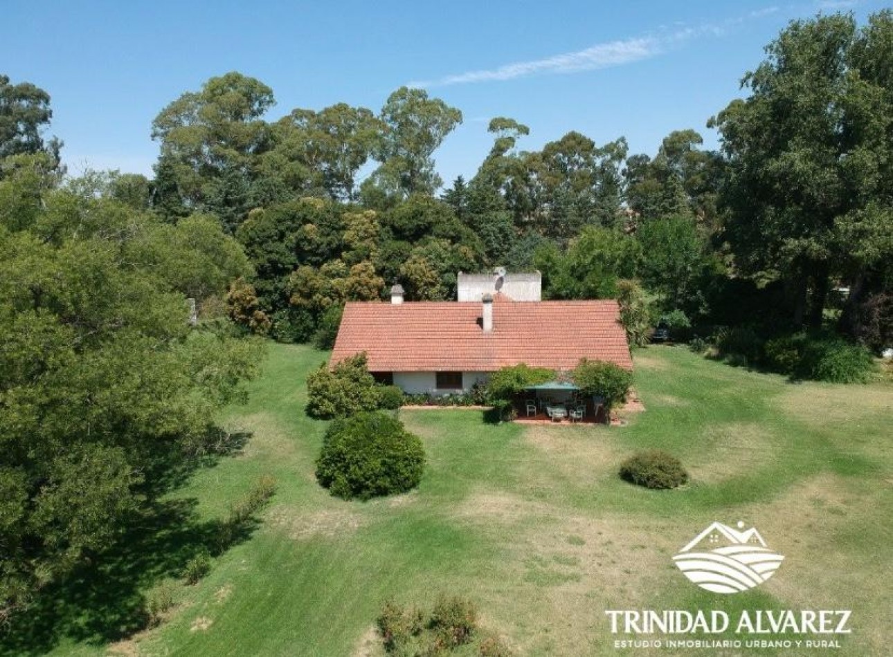 IMPORTANTE CASCO EN VENTA