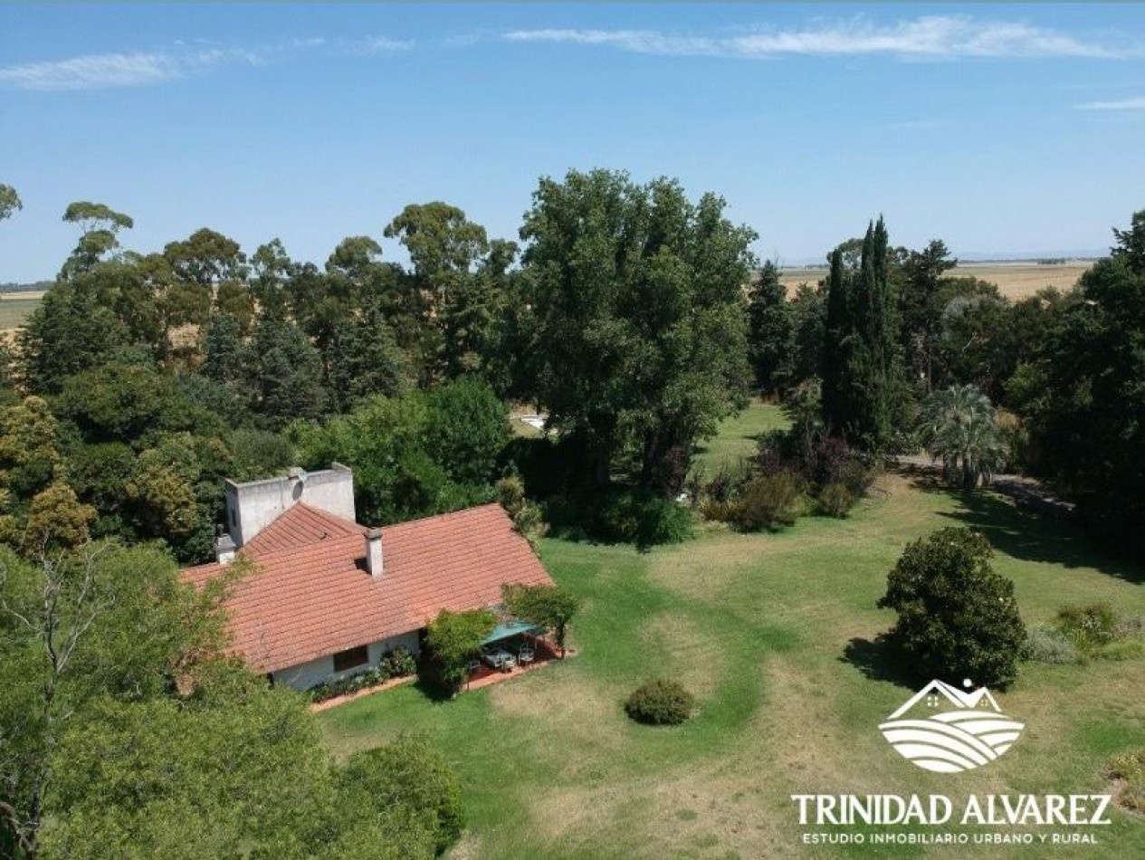 IMPORTANTE CASCO EN VENTA