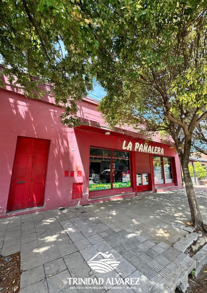 LOCAL COMERCIAL + DEPOSITOS