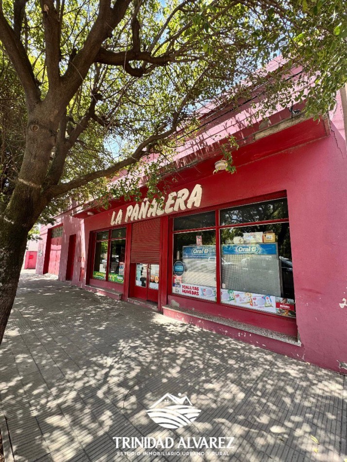 LOCAL COMERCIAL + DEPOSITOS