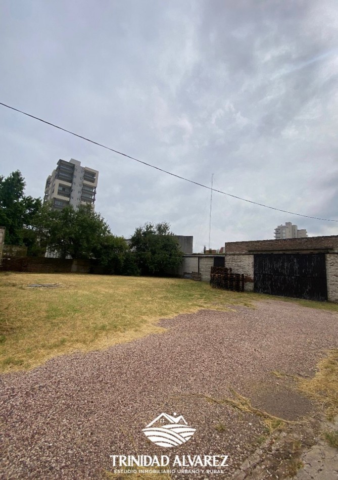 LOCAL COMERCIAL + DEPOSITOS