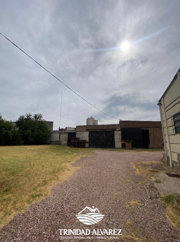 LOCAL COMERCIAL + DEPOSITOS