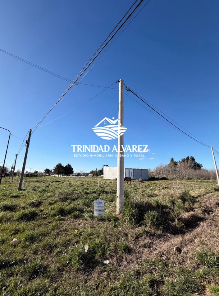 TERRENOS EN VENTA-JUNTOS O SEPARADOS