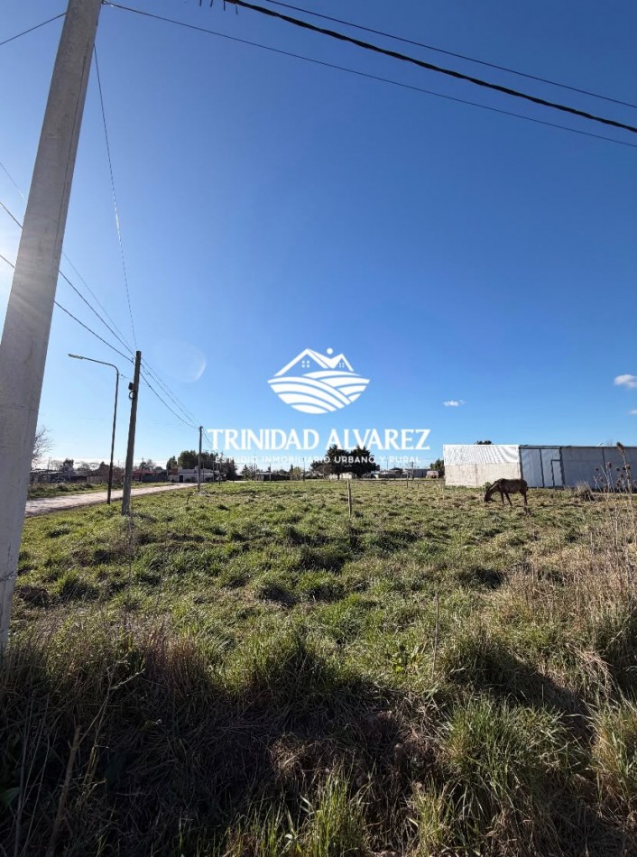 TERRENOS EN VENTA-JUNTOS O SEPARADOS
