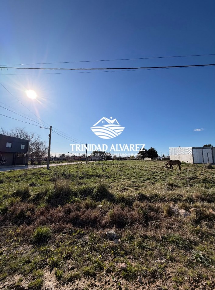 TERRENOS EN VENTA-JUNTOS O SEPARADOS
